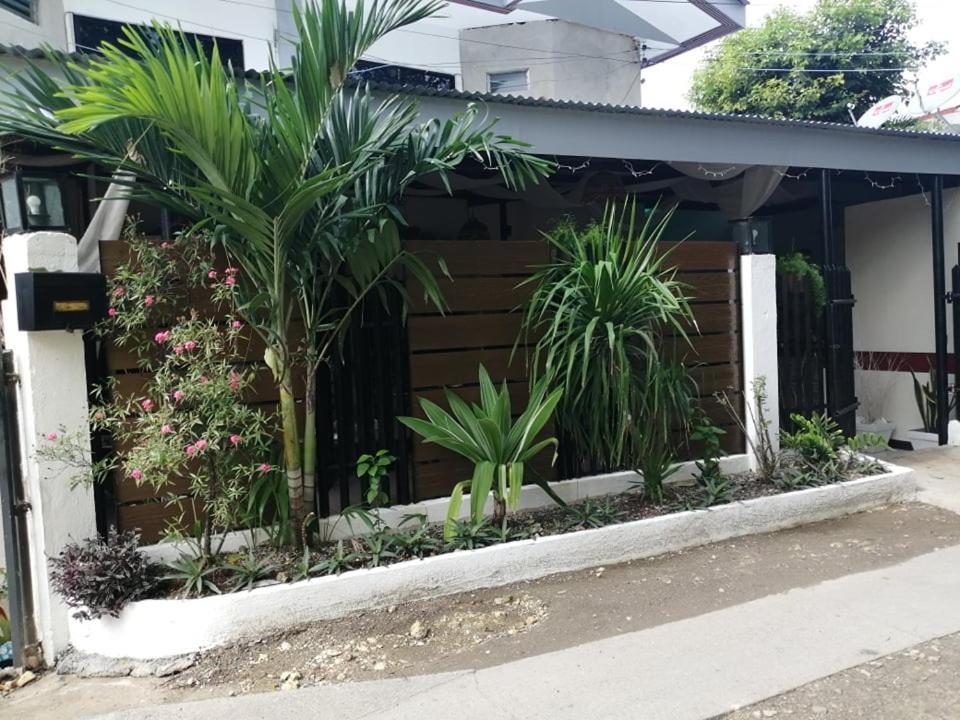 Cozy Inn Mactan マクタン エクステリア 写真